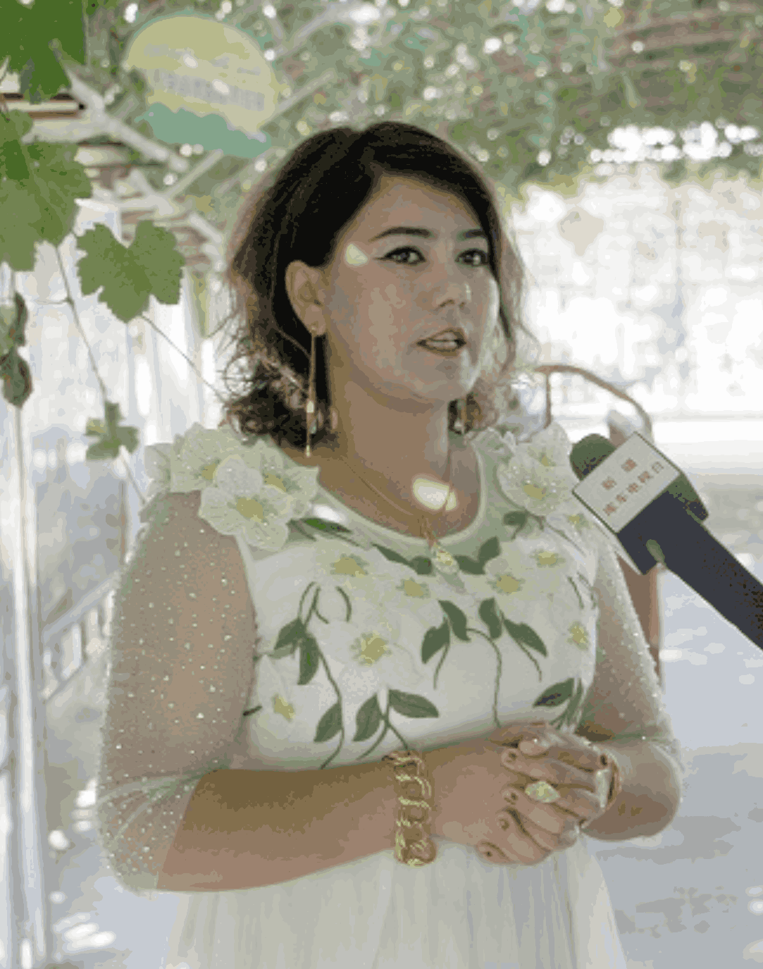 米克热阿依&middot;西热甫常务副会长