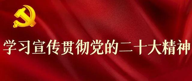 【协会党建】烹饪协会党支部参加自治区商务厅党的二十大精神集中培训班